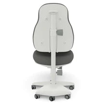 Ergo Desk Chair