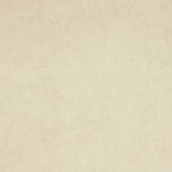 Beige (ELODEA 1024)