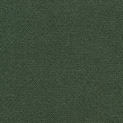 Forest Green (PRIMULA 510)