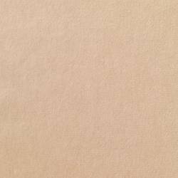 Light Beige (TATE 21)
