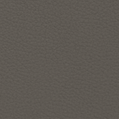 Grey Leather (ULTRA 41585)