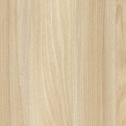 White Oiled Ash (C6-2)